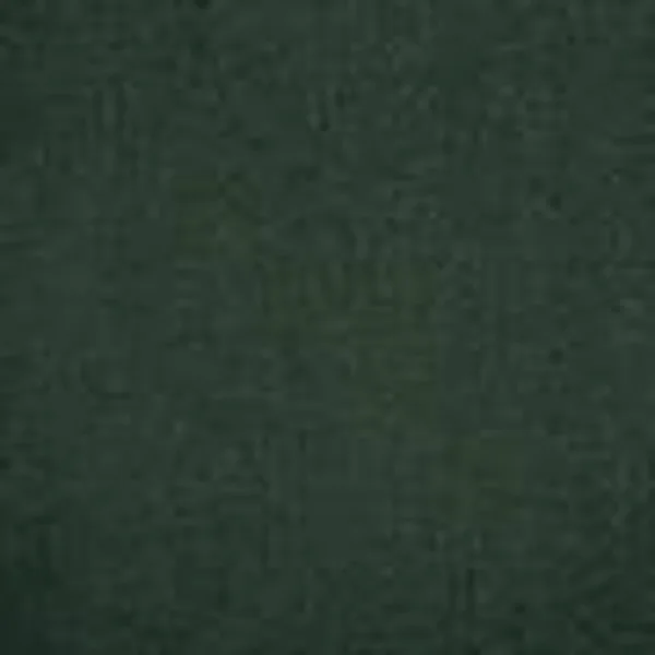 Échantillon moquette Best – coloris 290 Vert