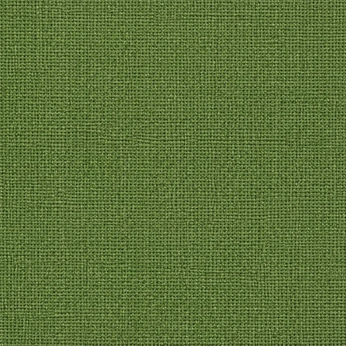 Échantillon Coton Gratté – coloris Kaki 210