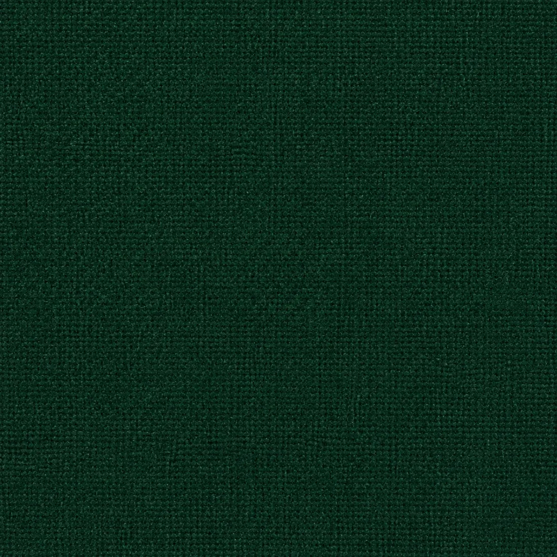 Échantillon Coton Gratté – coloris Vert Fonce 24