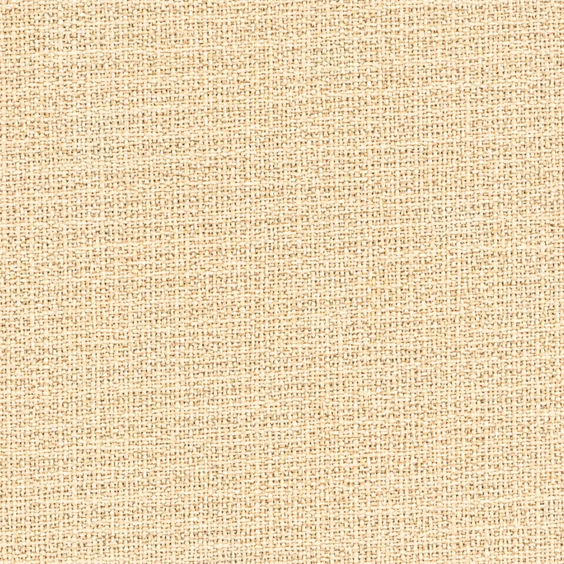 Échantillon Coton Gratté – coloris Beige Clair 300