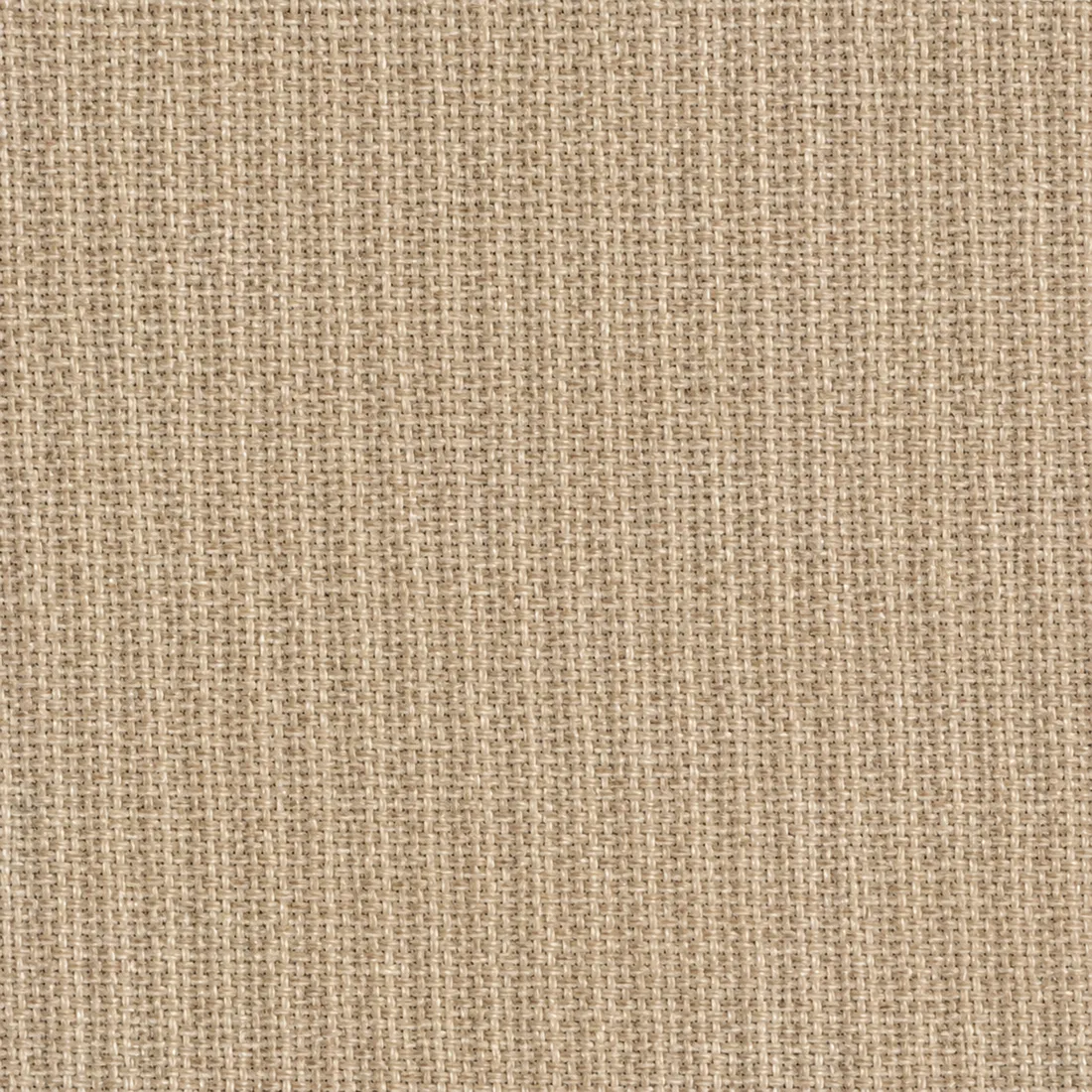 Échantillon Coton Gratté – coloris Sable 301