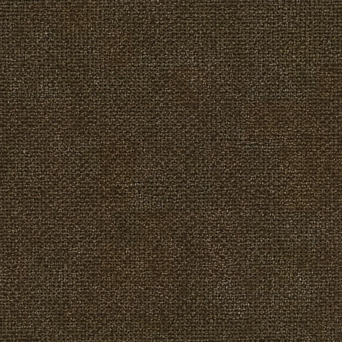 Échantillon Coton Gratté – coloris Taupe 3255