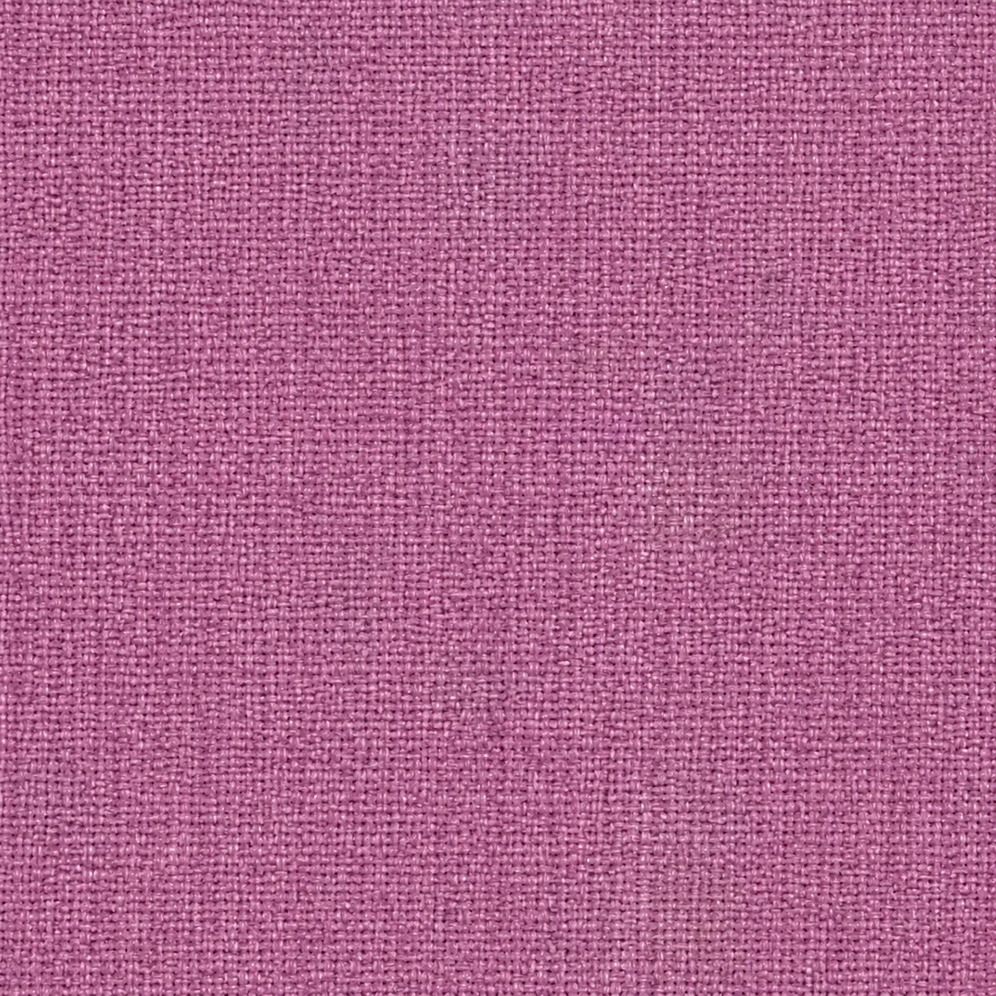 Échantillon Coton Gratté – coloris Parme 55
