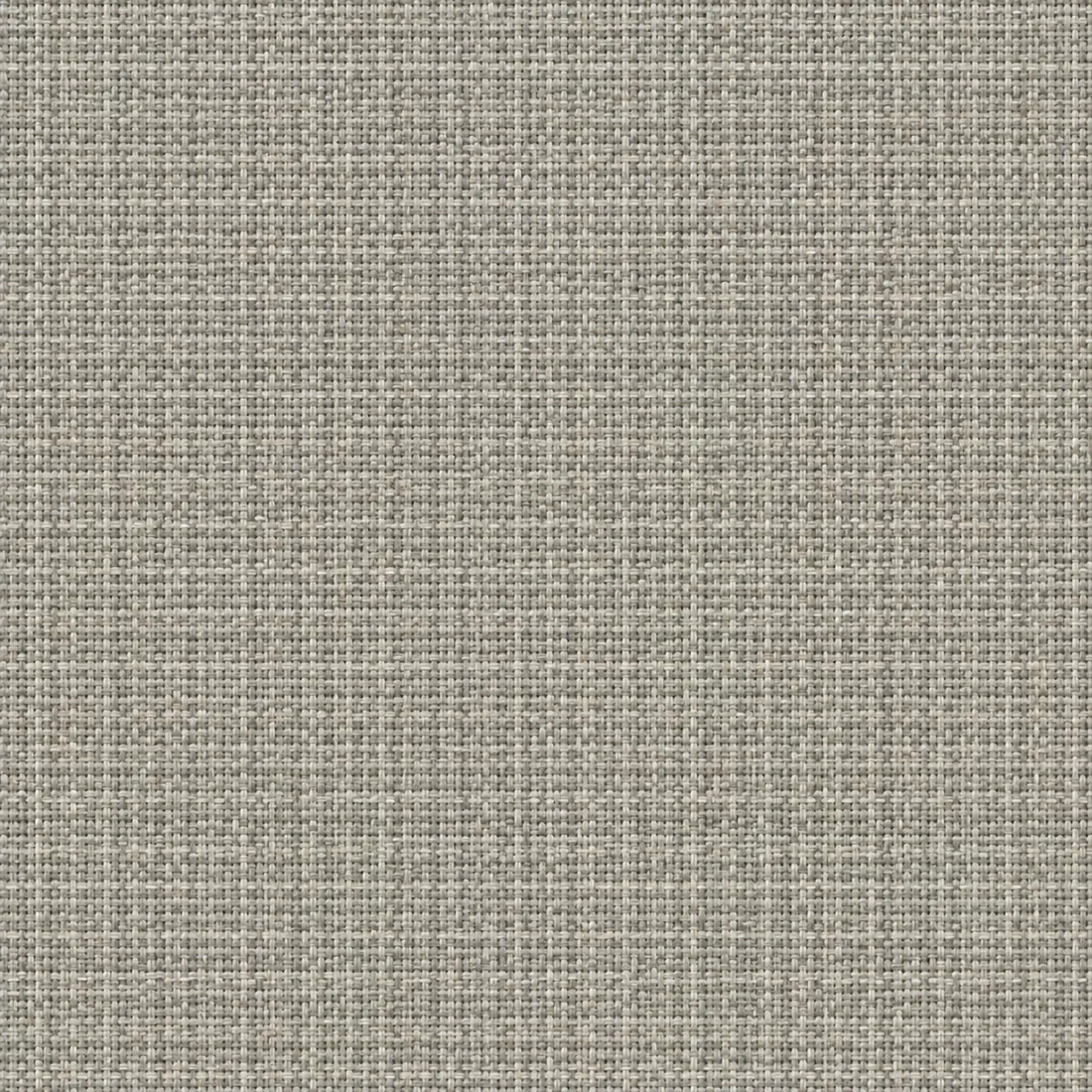 Échantillon Coton Gratté – coloris Gris Souris 7355