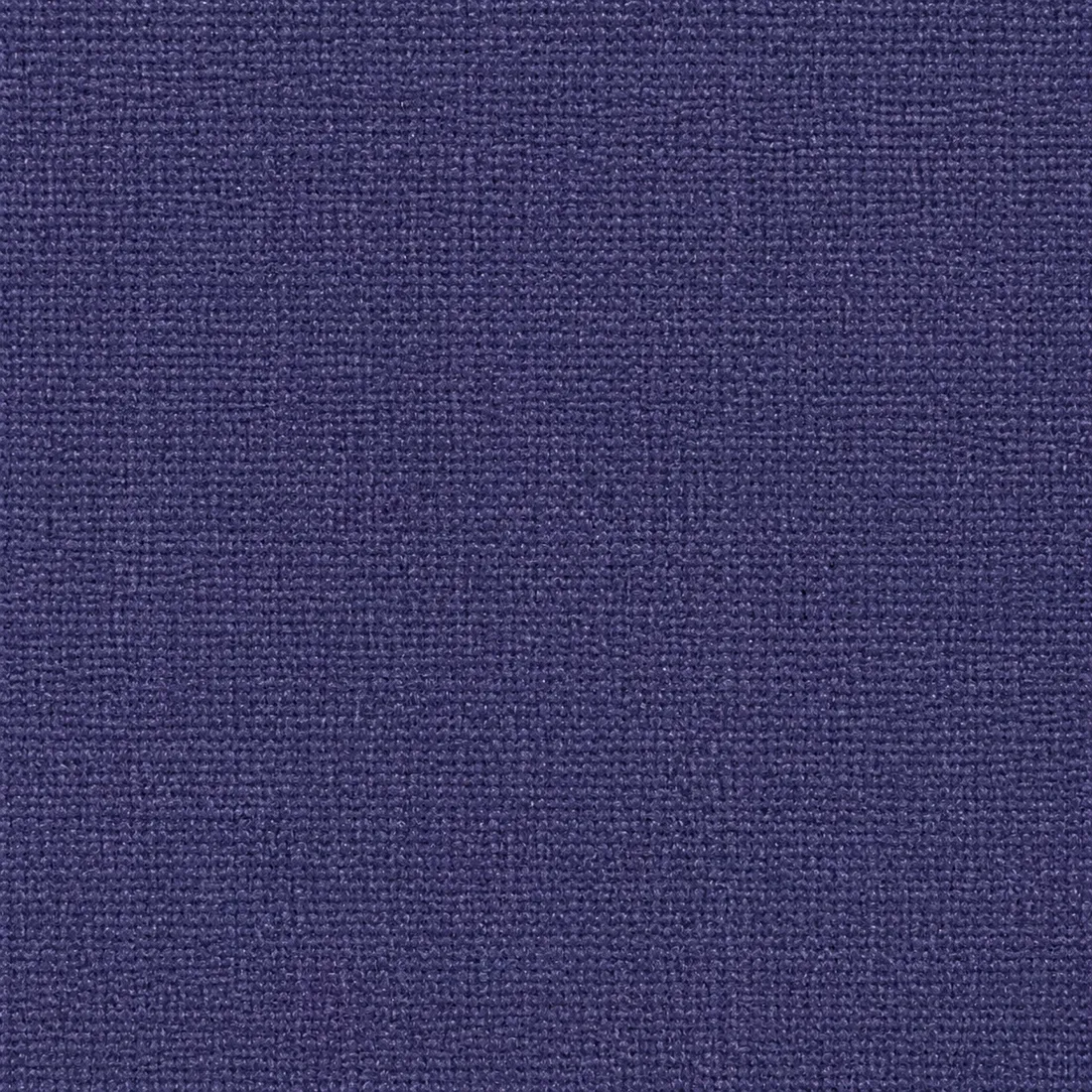 Échantillon Coton Gratté – coloris Violet 900