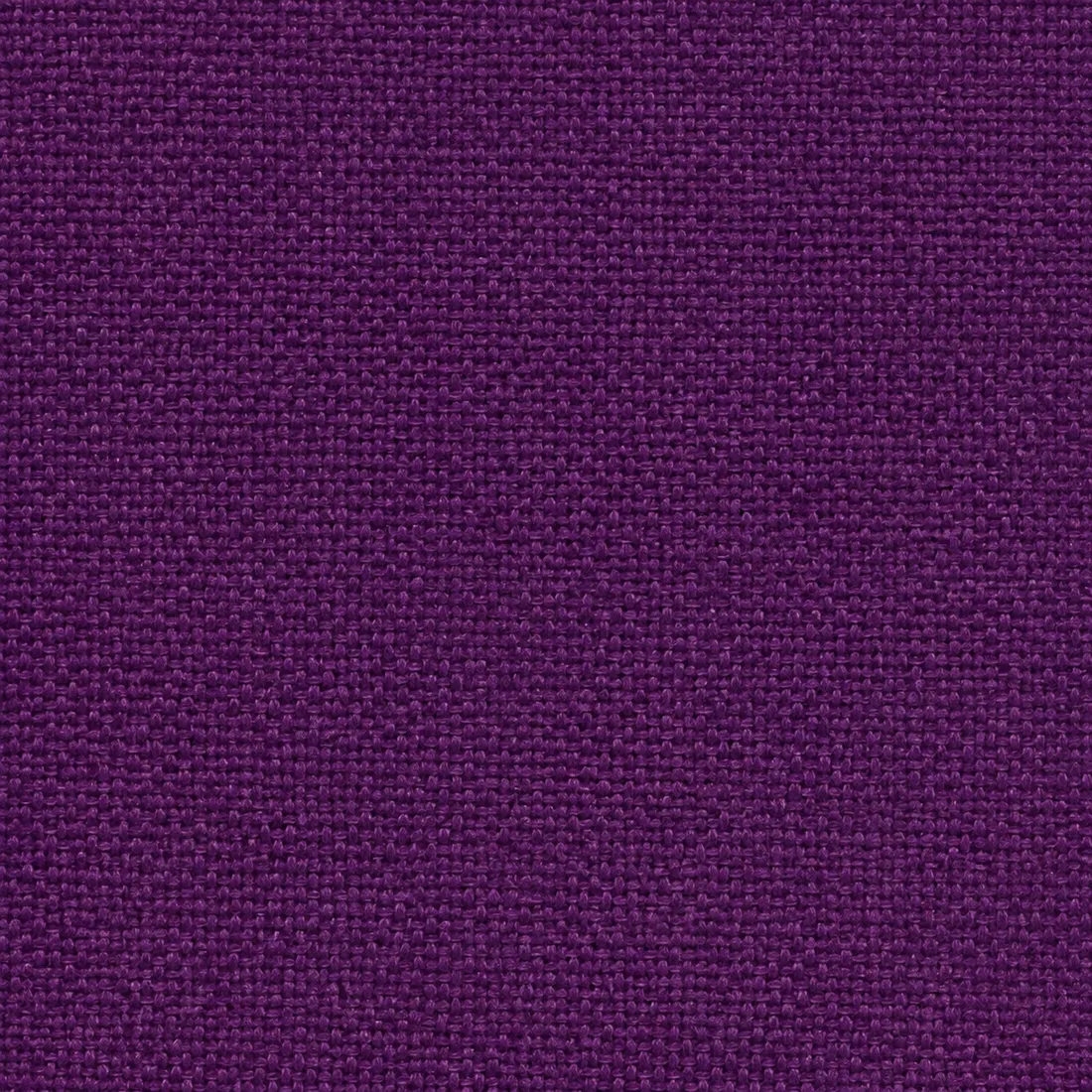 Échantillon Coton Gratté – coloris Prune 908