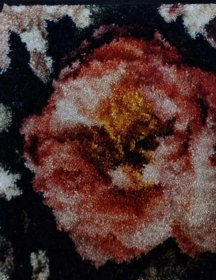 Impression moquette – motif C1300 — Rose sur fond noir