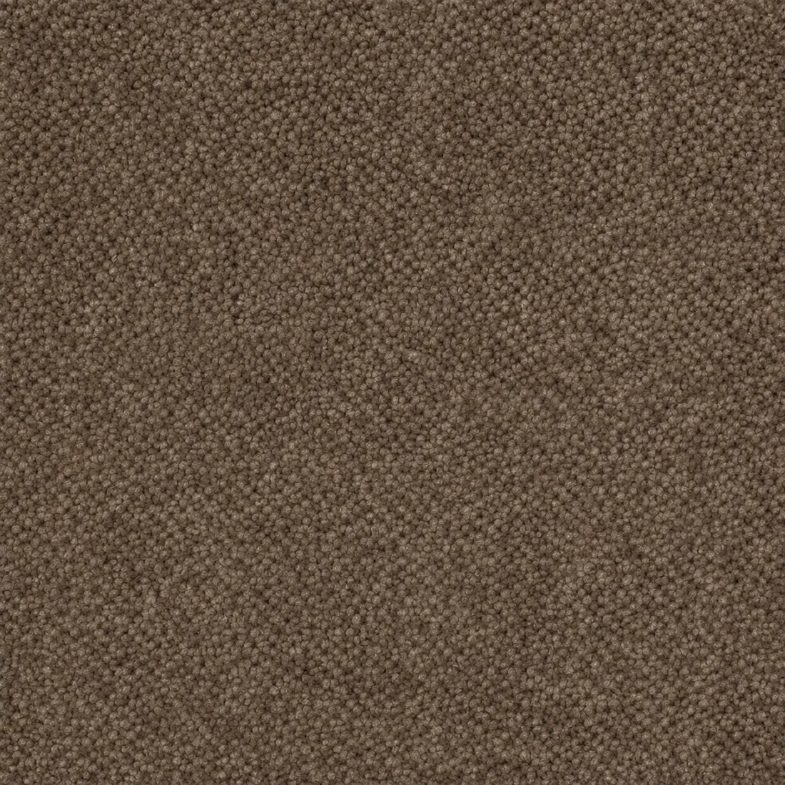 Échantillon moquette Impulso – coloris 43