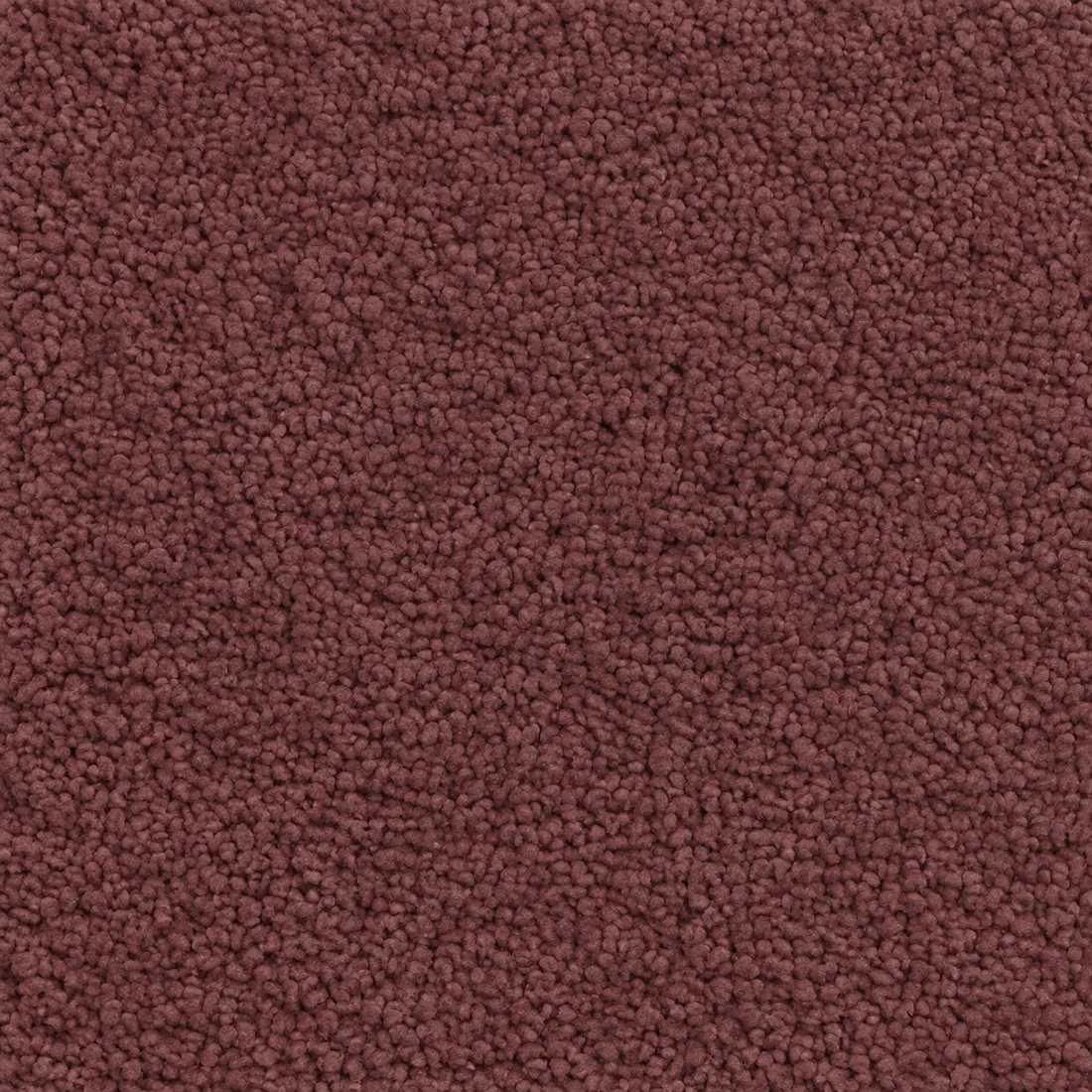 Échantillon moquette Kai – coloris 14