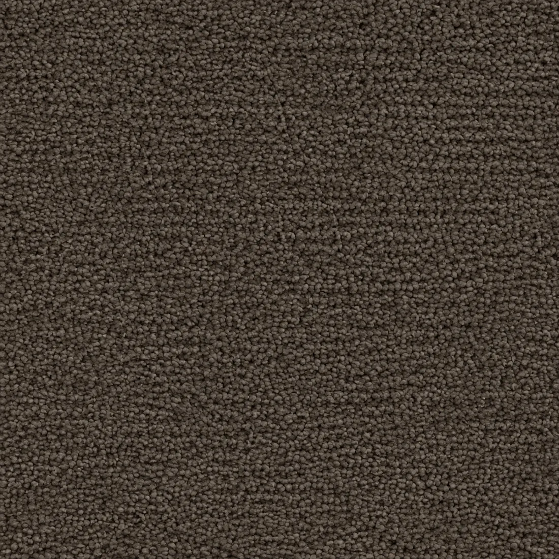 Échantillon moquette Kai – coloris 44