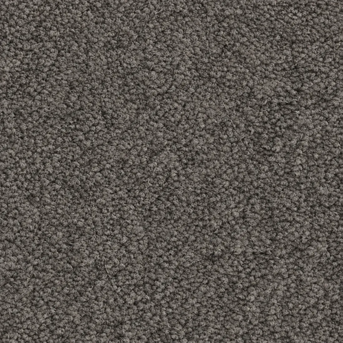 Échantillon moquette Kai – coloris 49