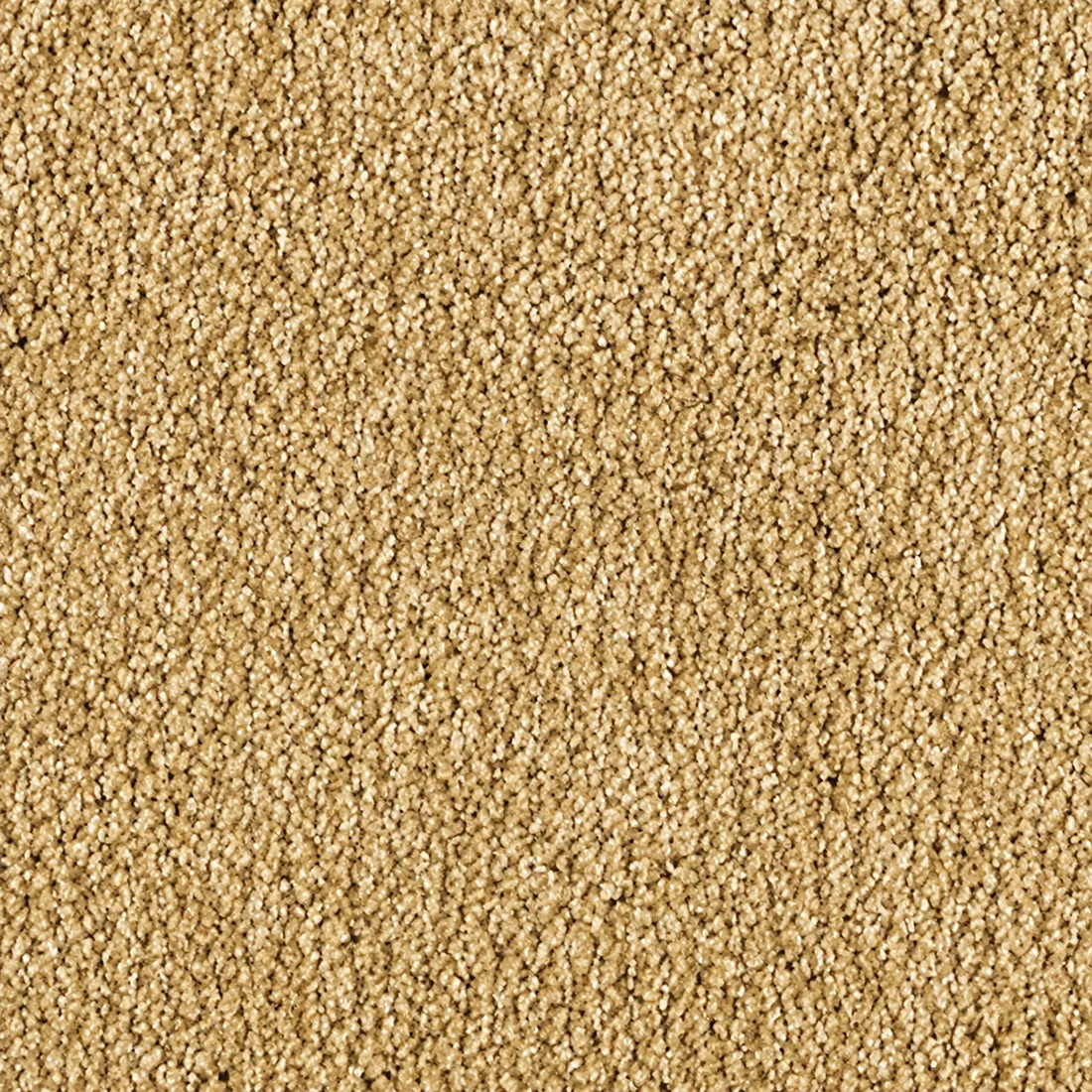 Échantillon moquette Rio Grande – coloris 35