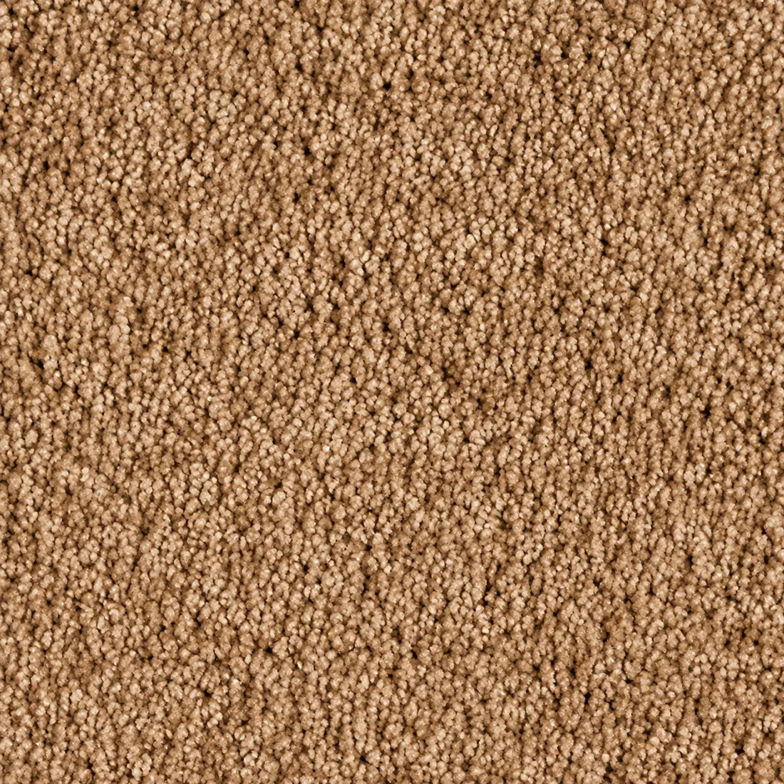 Échantillon moquette Rio Grande – coloris 84