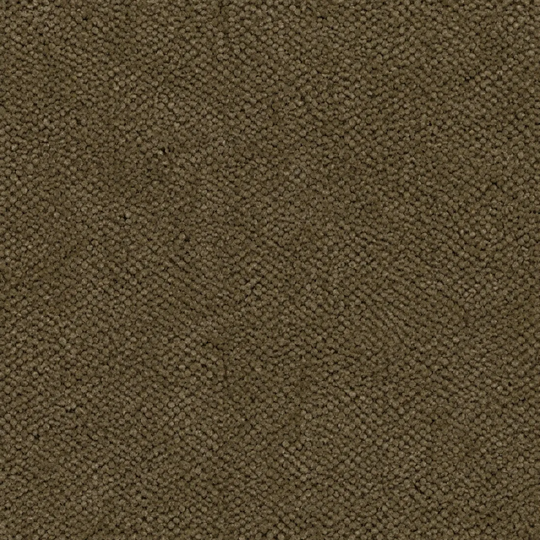 Échantillon moquette Tessa – coloris 24