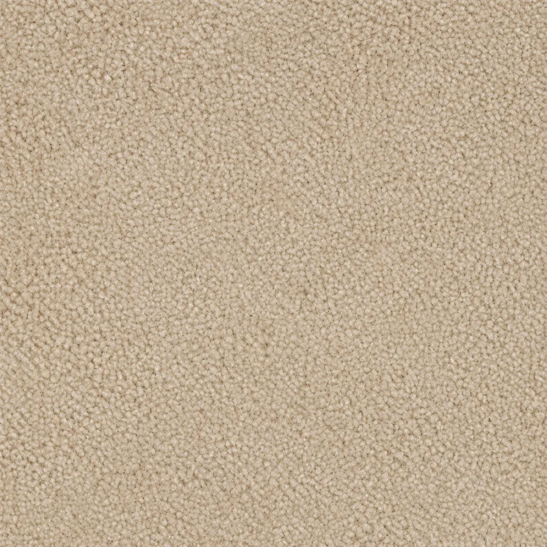 Échantillon moquette Tessa – coloris 31