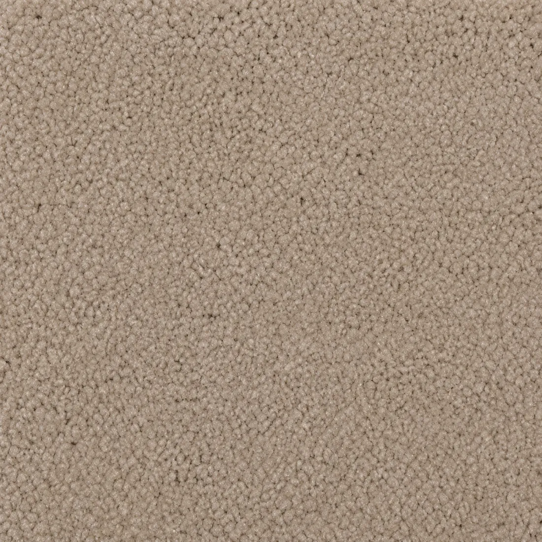 Échantillon moquette Tessa – coloris 33