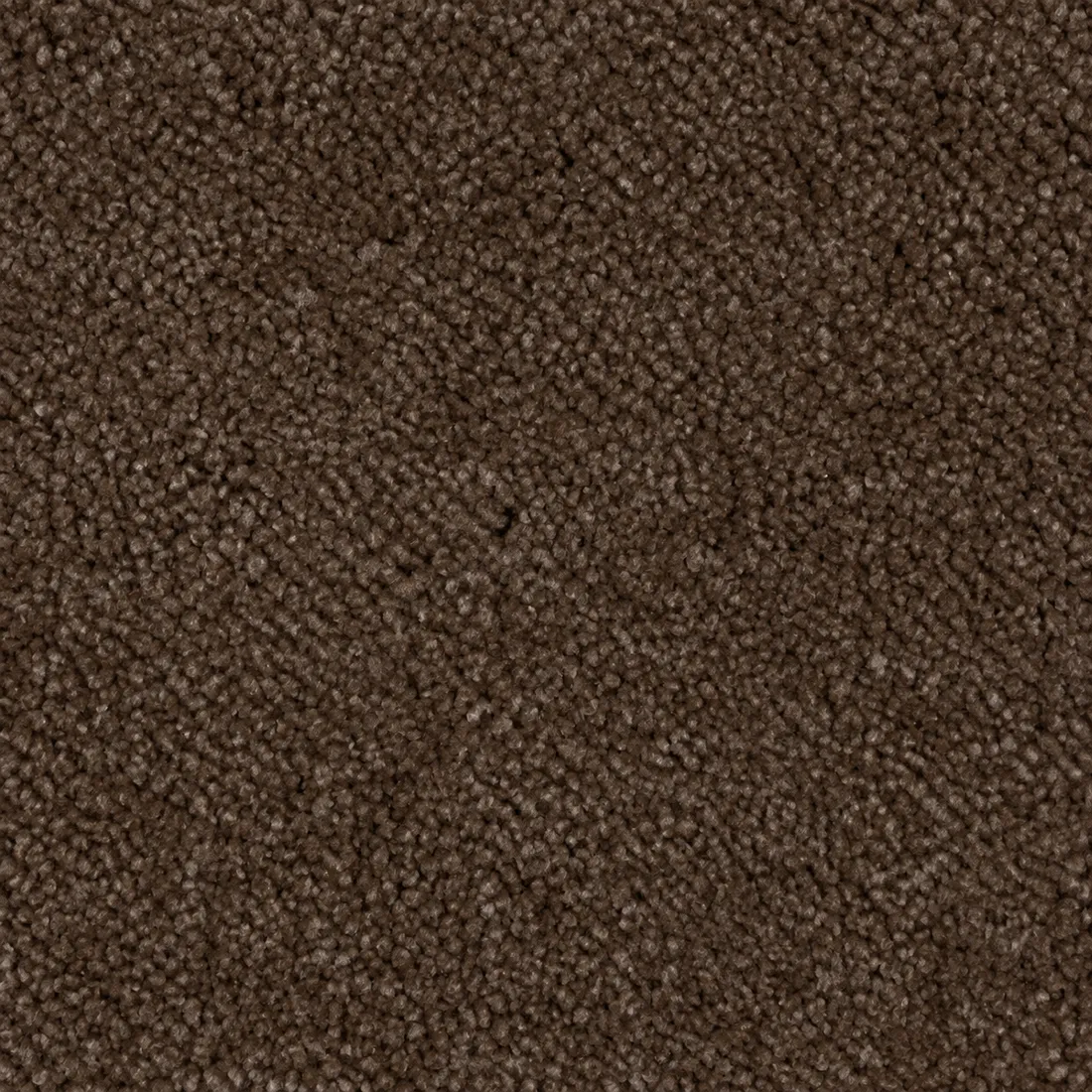 Échantillon moquette Tessa – coloris 44