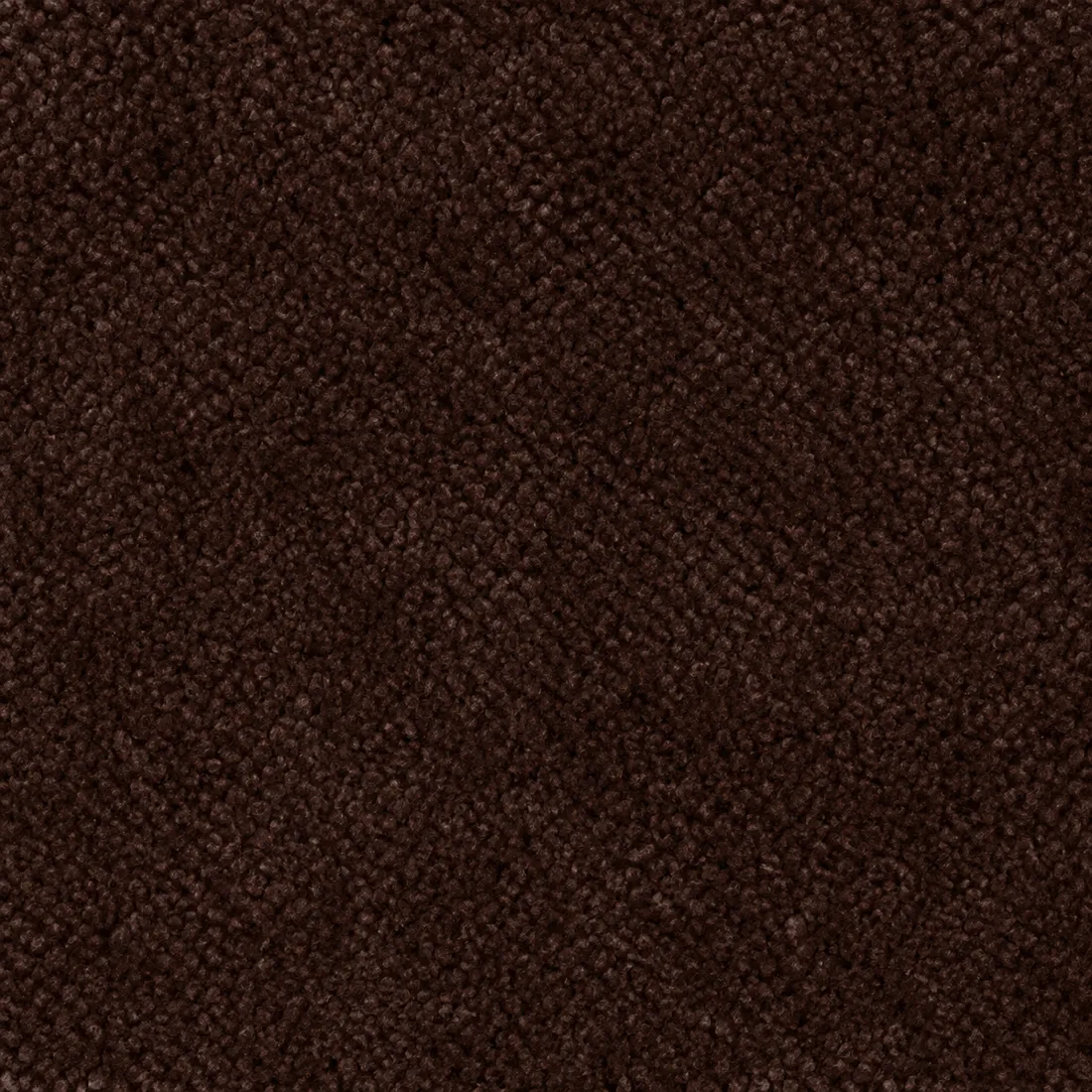 Échantillon moquette Tessa – coloris 46