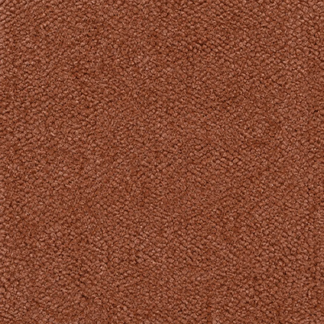 Échantillon moquette Tessa – coloris 68