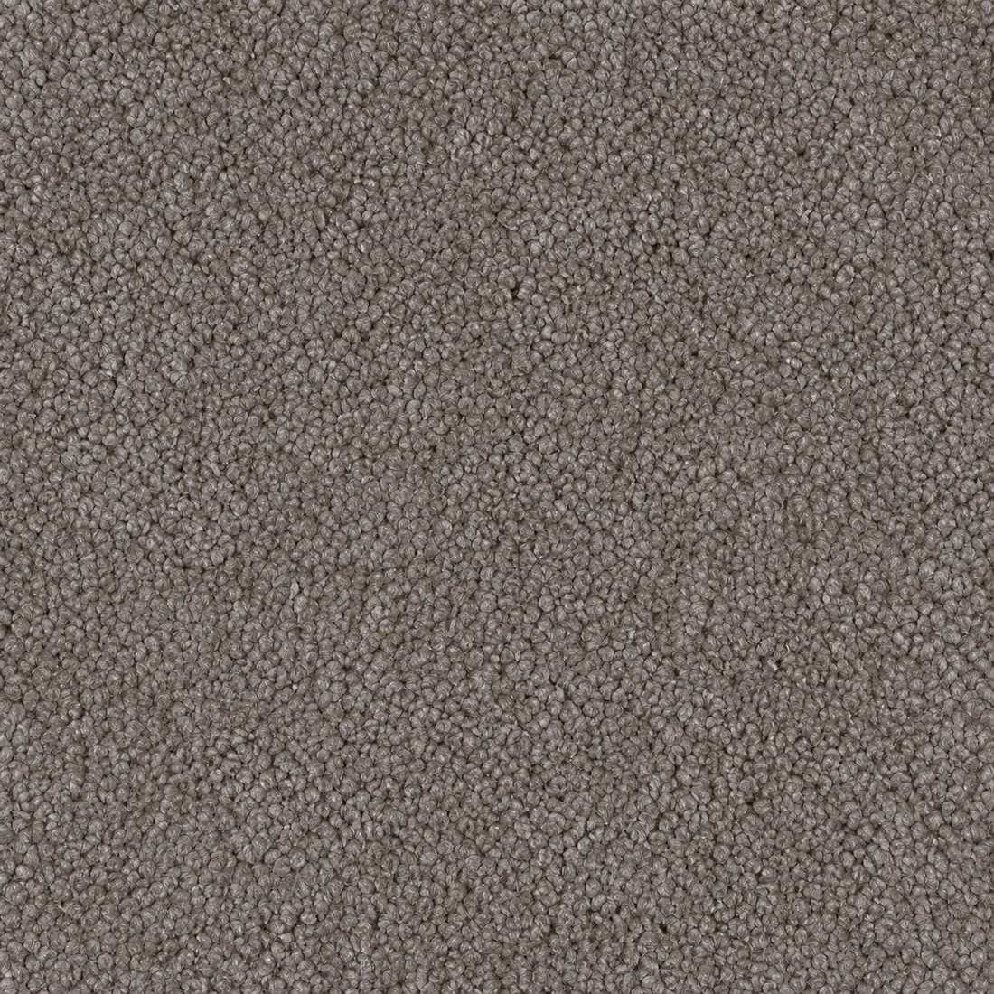 Échantillon moquette Tessa – coloris 95