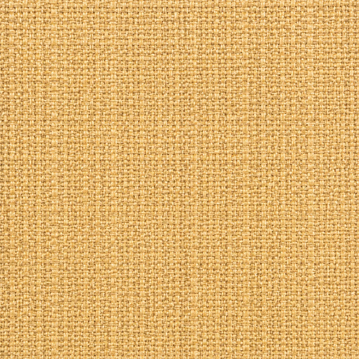 Échantillon de toile non gratté – coloris Beige