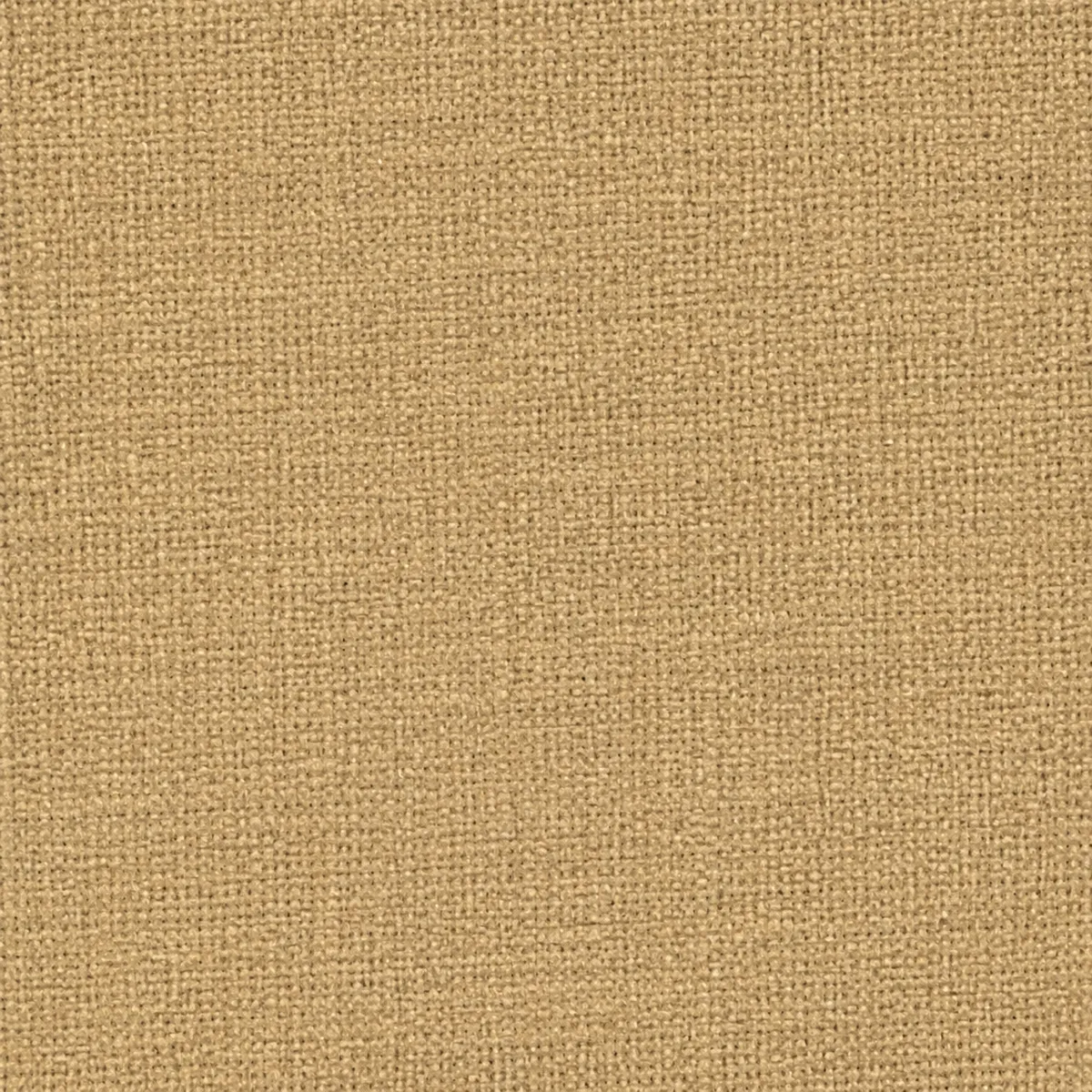 Échantillon de toile non gratté – coloris Beignet