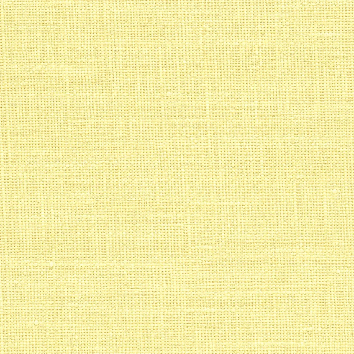 Échantillon de toile non gratté – coloris Coquille
