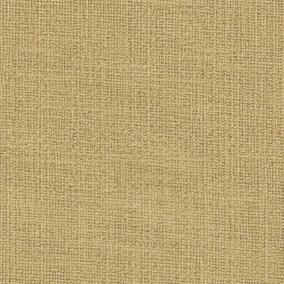 Échantillon de toile non gratté – coloris Ficelle