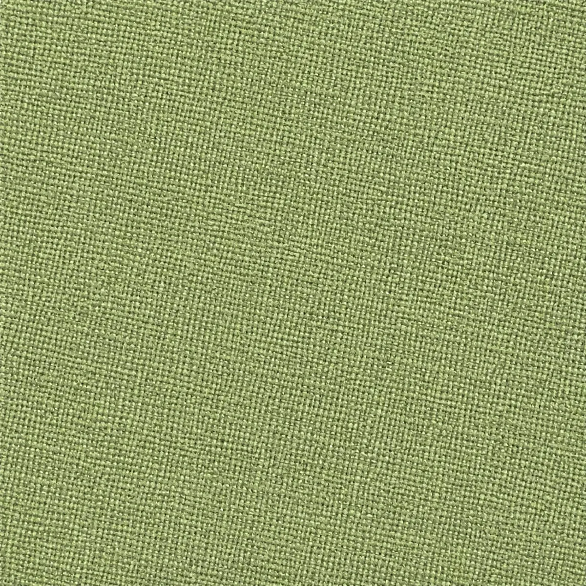 Échantillon de toile non gratté – coloris Olive