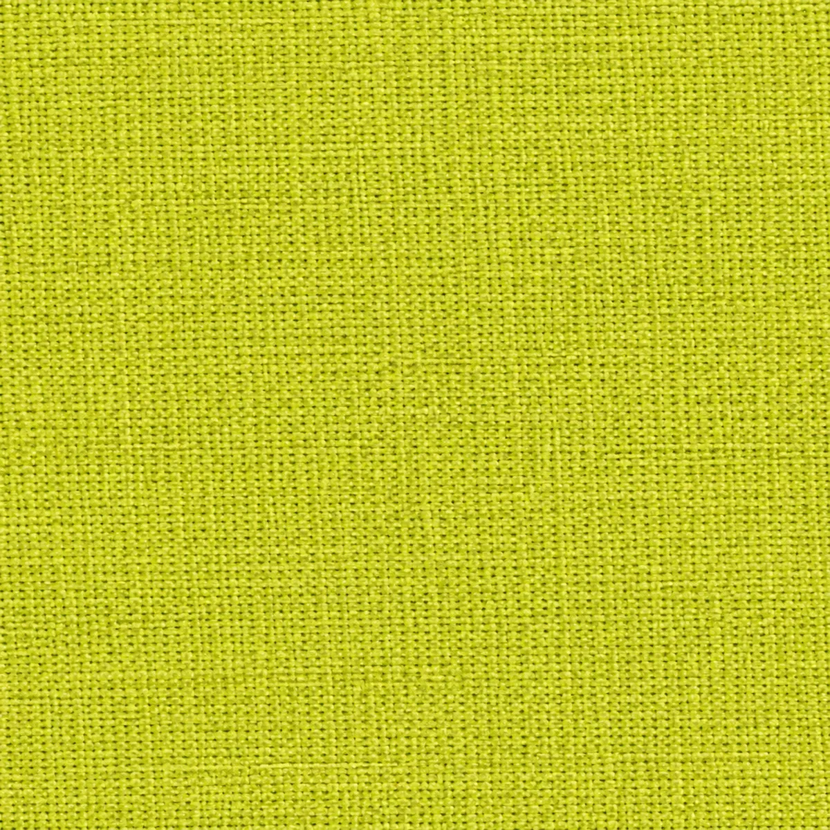 Échantillon de toile non gratté – coloris Pistache