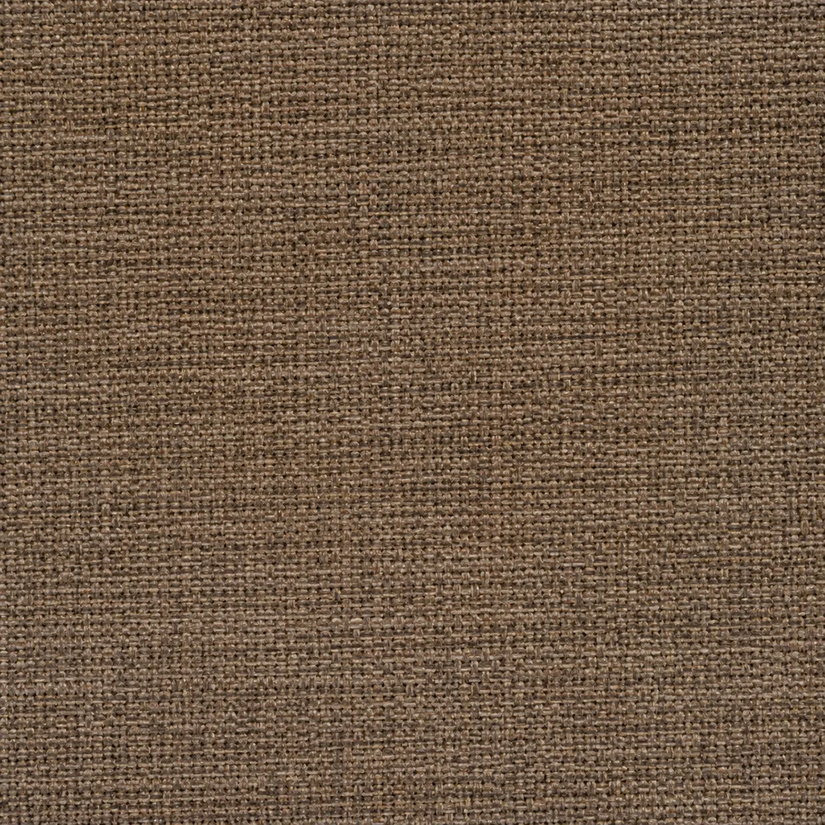 Échantillon de toile non gratté – coloris Taupe