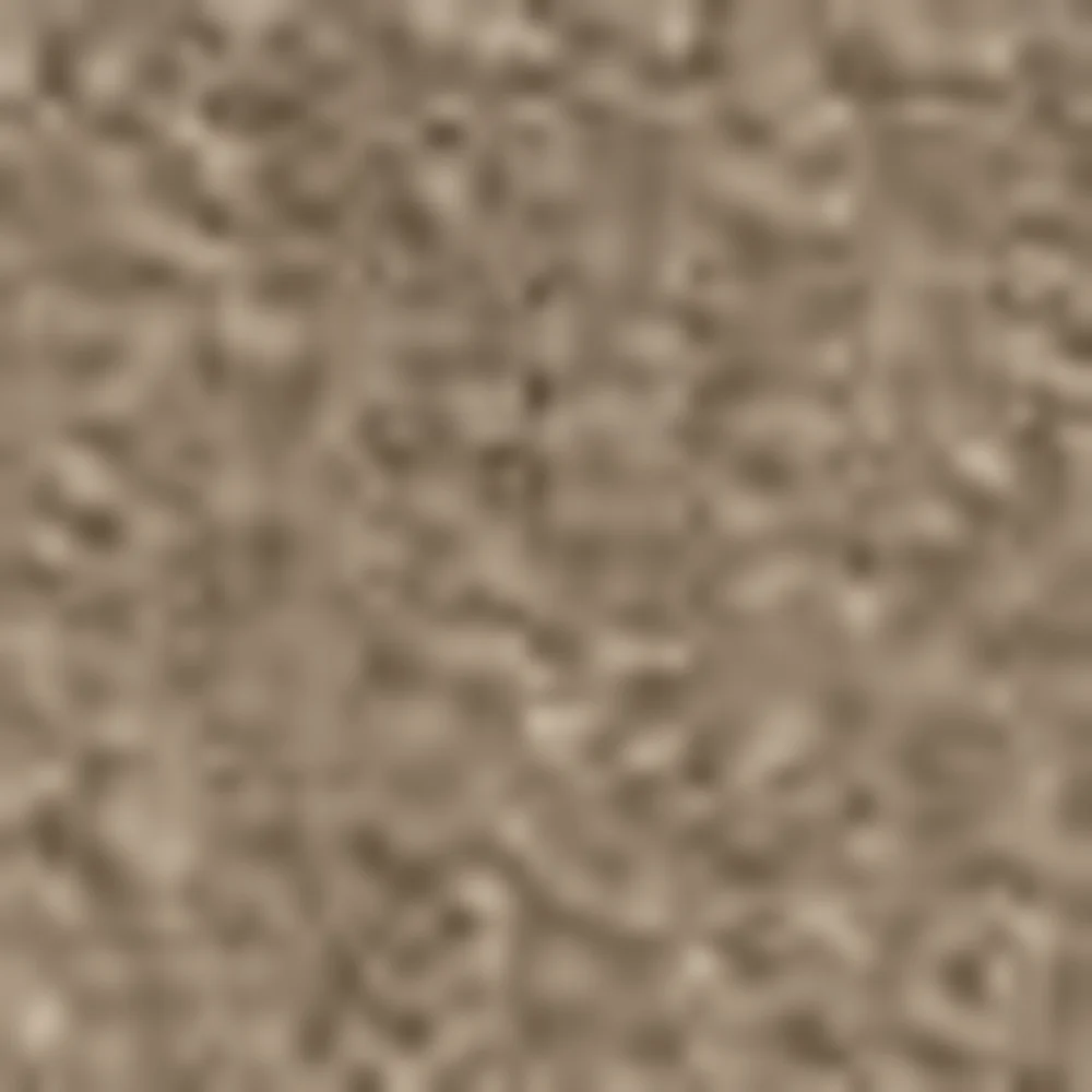 Échantillon velours grande laize – coloris Champagne Z859