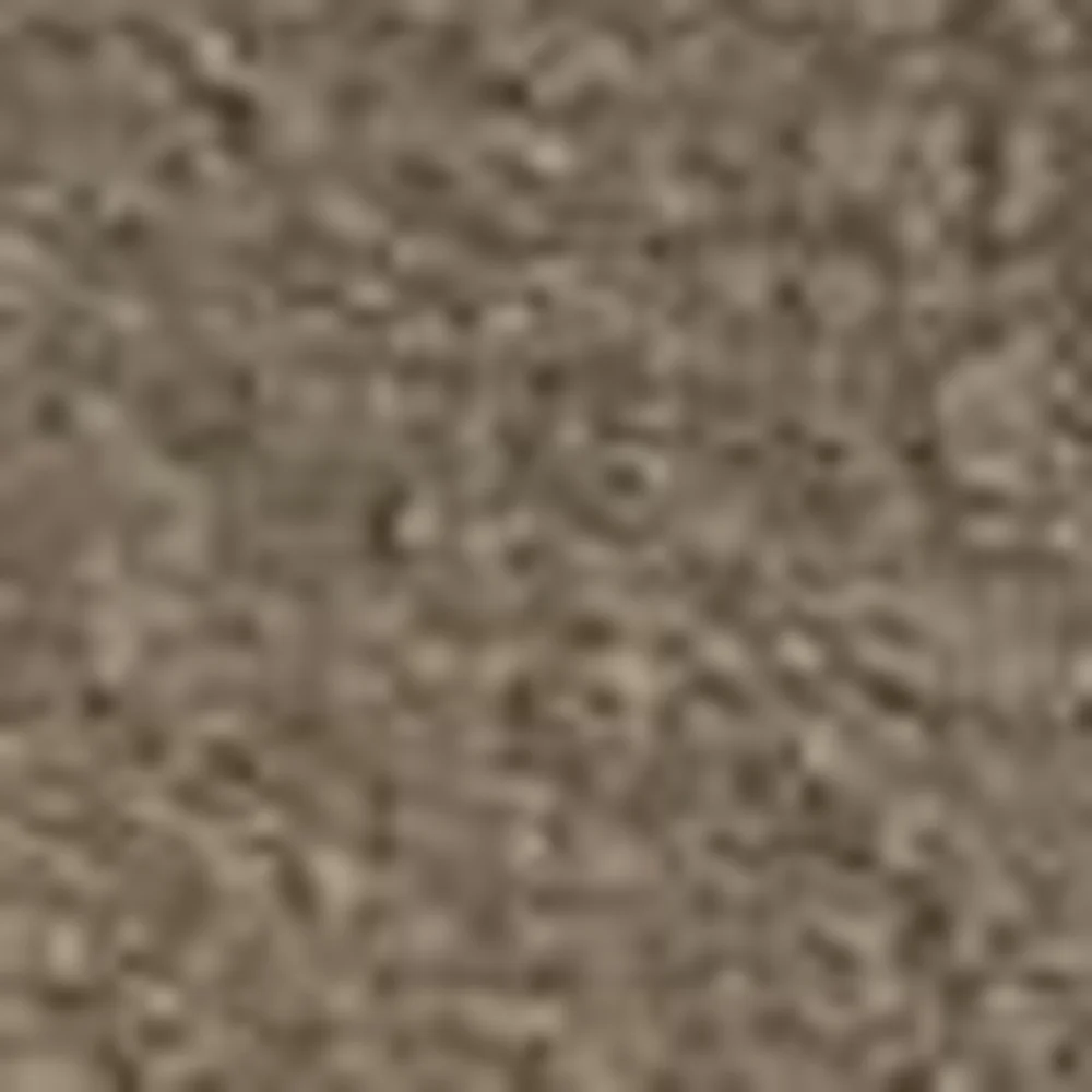 Échantillon velours grande laize – coloris Corde Z863